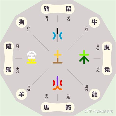 大象五行属什么|请问大象的五行属什么？